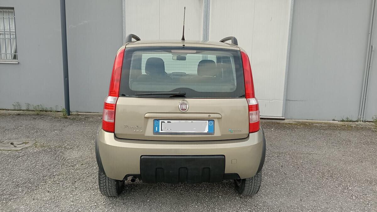 Panda Climbing Natural Power - Motore revisionato -