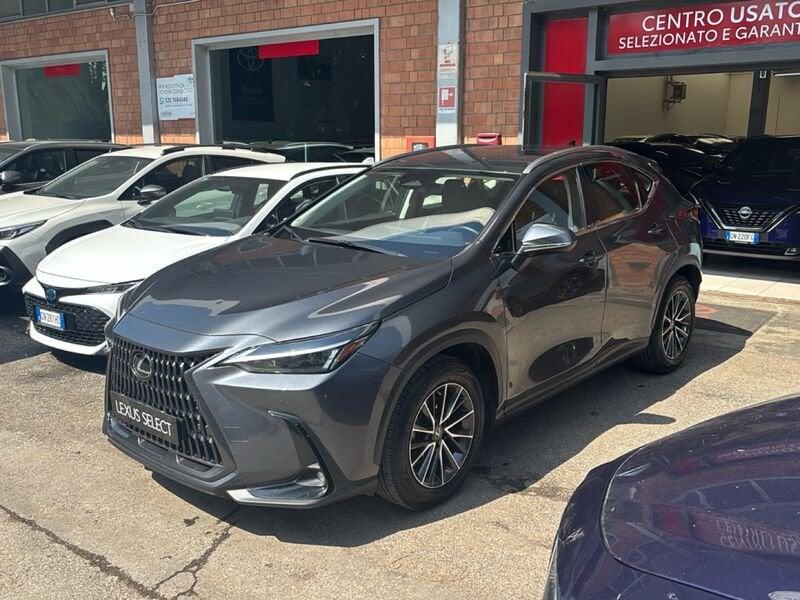 Lexus NX Hybrid Business 4WD