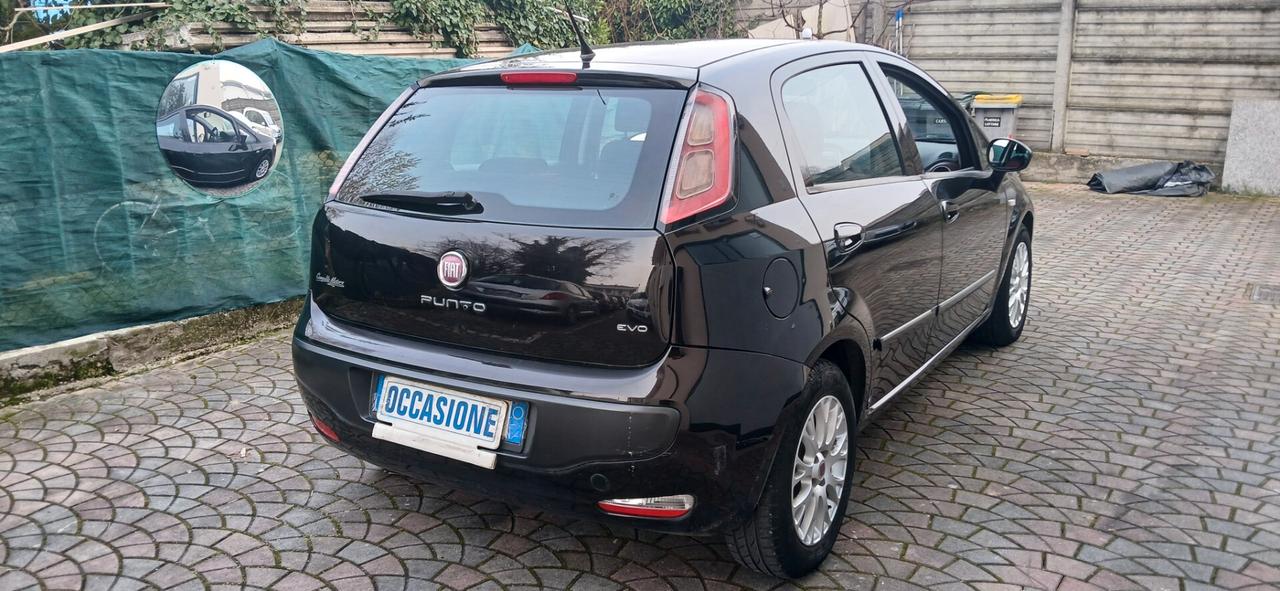 Fiat Punto Evo 1.3 Mjt pochi km neopatentati