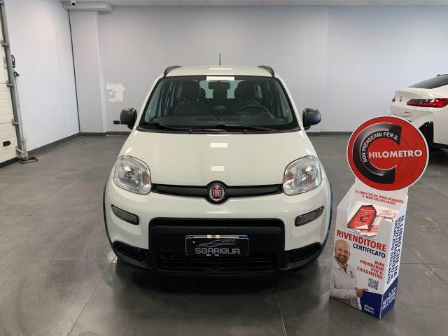 FIAT Panda 1.0 Benzina Hybrid City Life