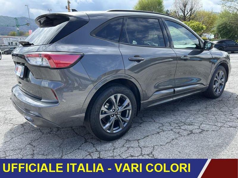 Ford Kuga 2.0 EcoBlue 120cv auto ST-Line 19 MILA KM!! ST LINE AUTOMATICA
