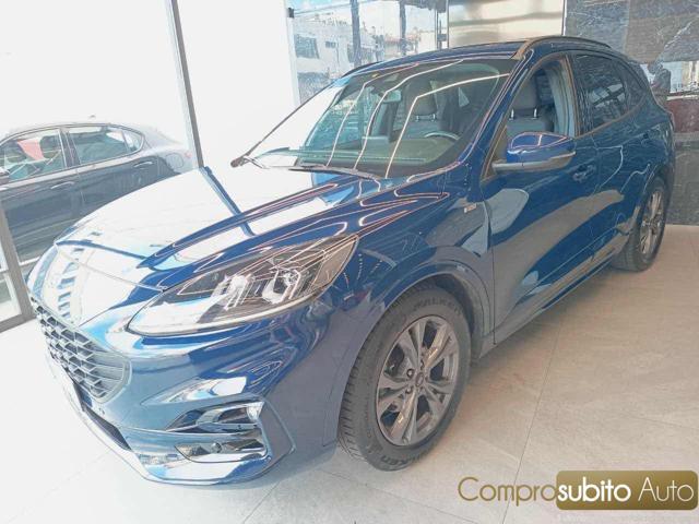FORD Kuga 1.5 EcoBlue 120 CV 2WD Titanium Business