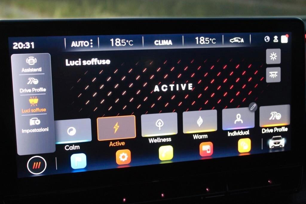 CUPRA Formentor 2.0 TDI DSG *Luci Ambiente *Camera