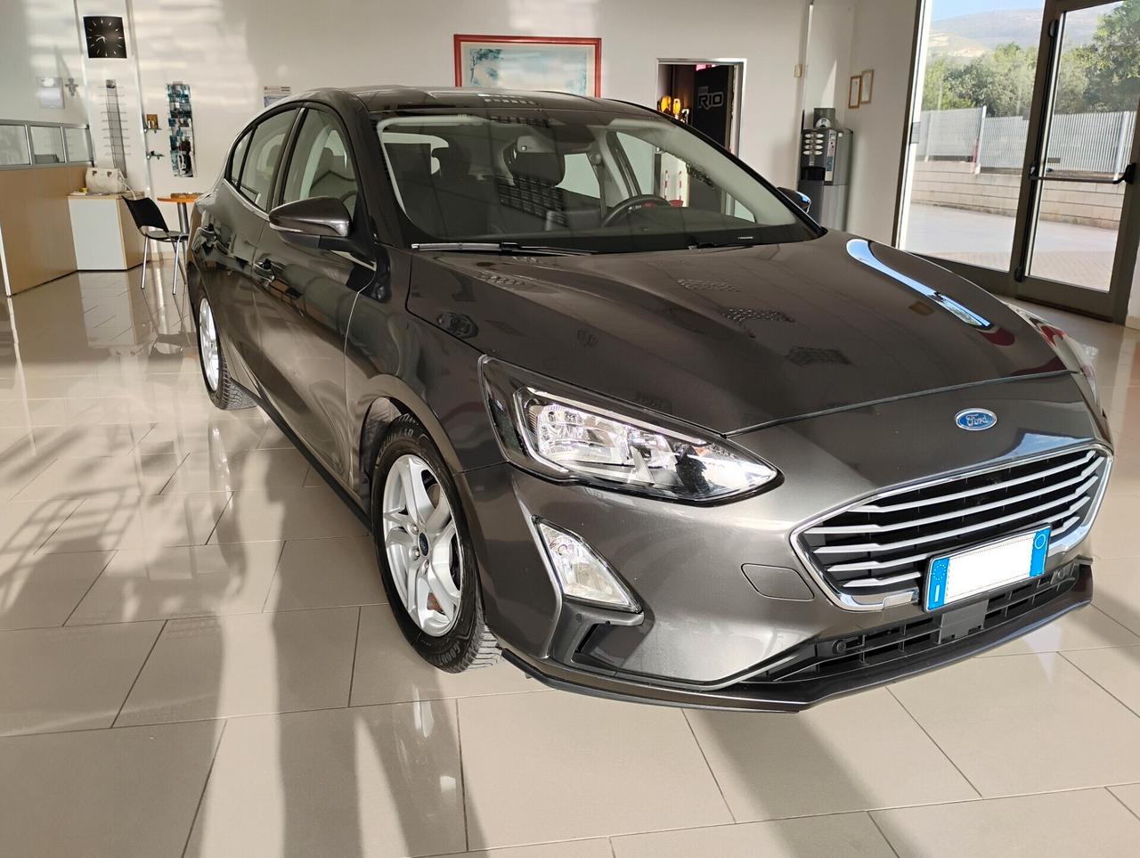 Ford Focus 1.5 EcoBlue 120 CV automatico 5p. Business Co-Pilot