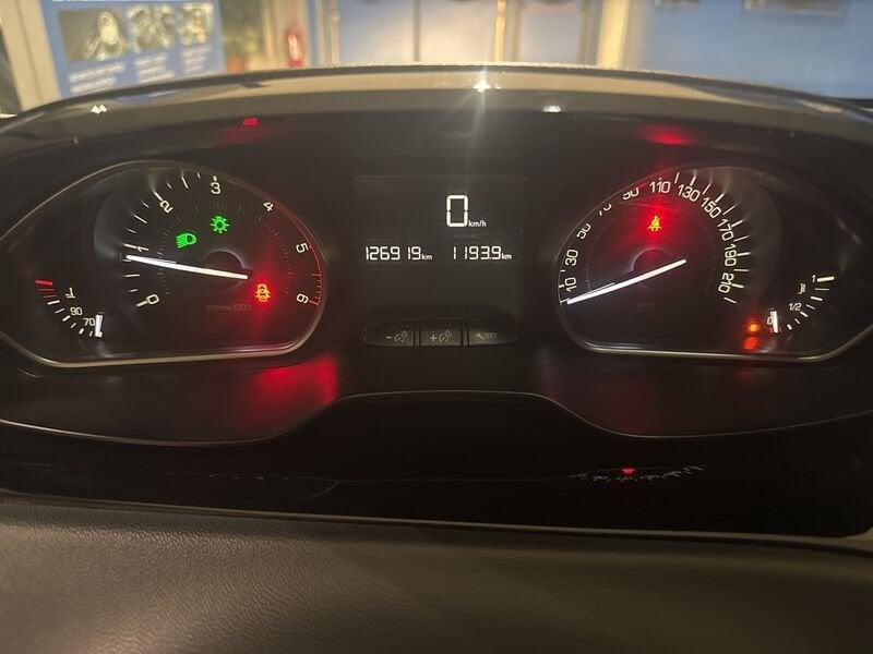 Peugeot 208 BlueHDi 100 S&S 5 porte Van Active 5.500 + IVA