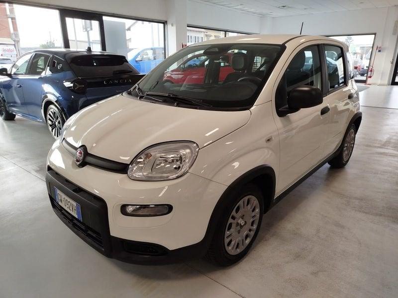 FIAT Panda 1.0 FireFly S&S Hybrid Pandina