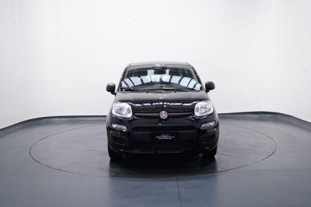 FIAT New Panda My25 1.0 FireFly S&S Hybrid #Pack City #5posto