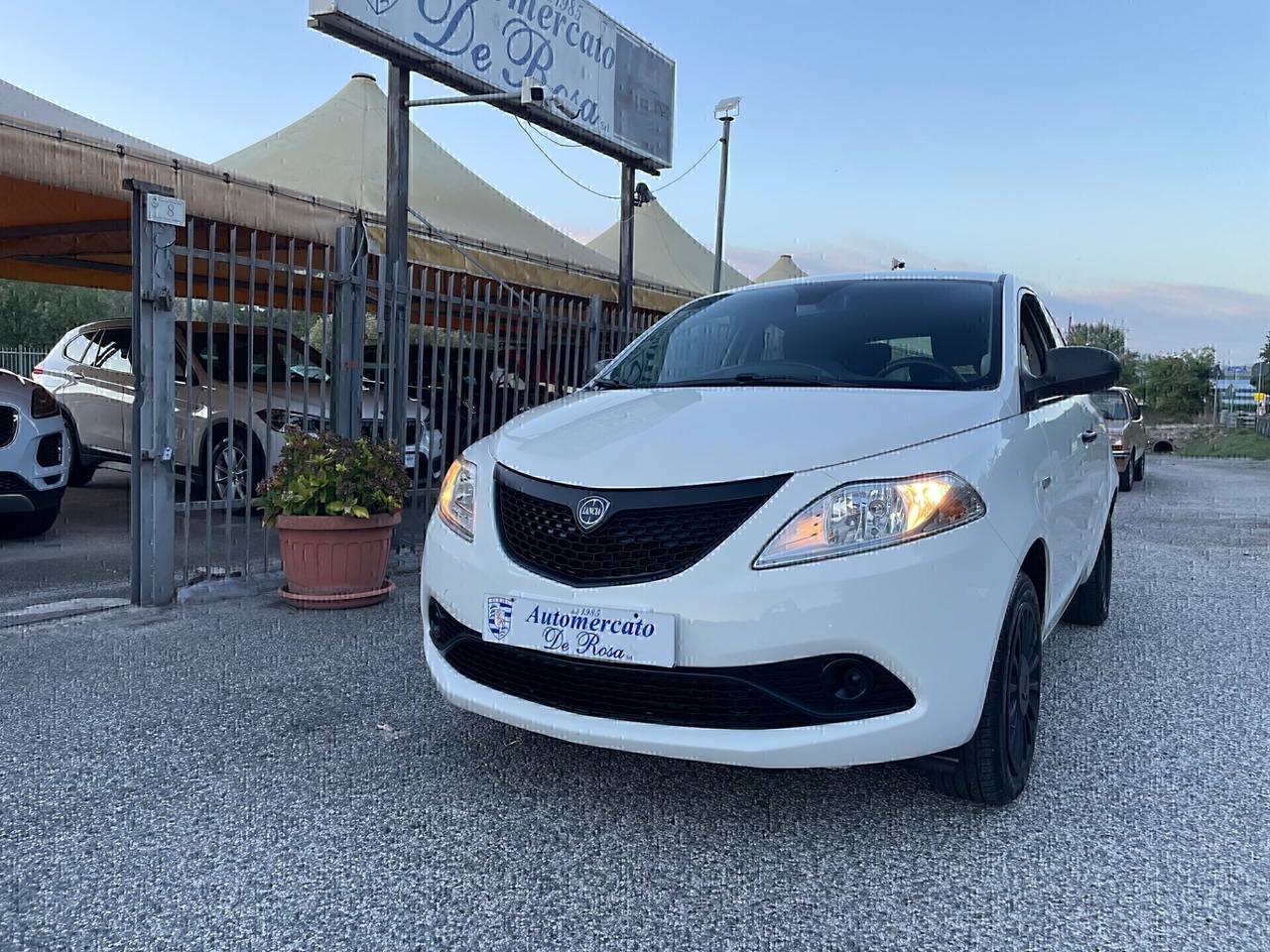 Lancia Ypsilon 1.2 69 CV 5 porte S&S Elefantino Blu