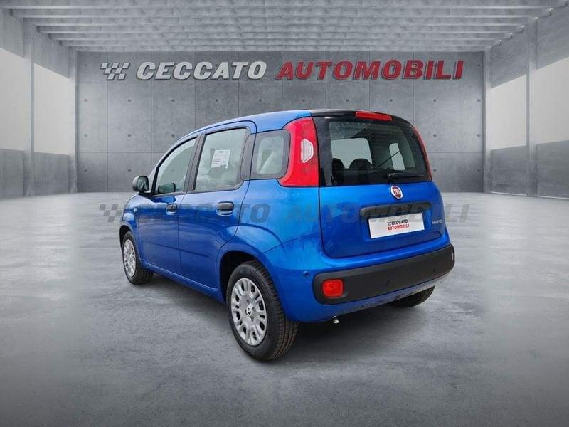 FIAT Panda Panda 1.0 firefly hybrid s&s 70cv