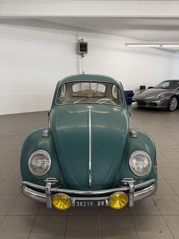 Volkswagen Maggiolino