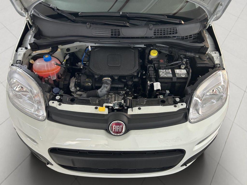 FIAT Panda 3ª serie Panda 1.0 FireFly S&S Hybr...
