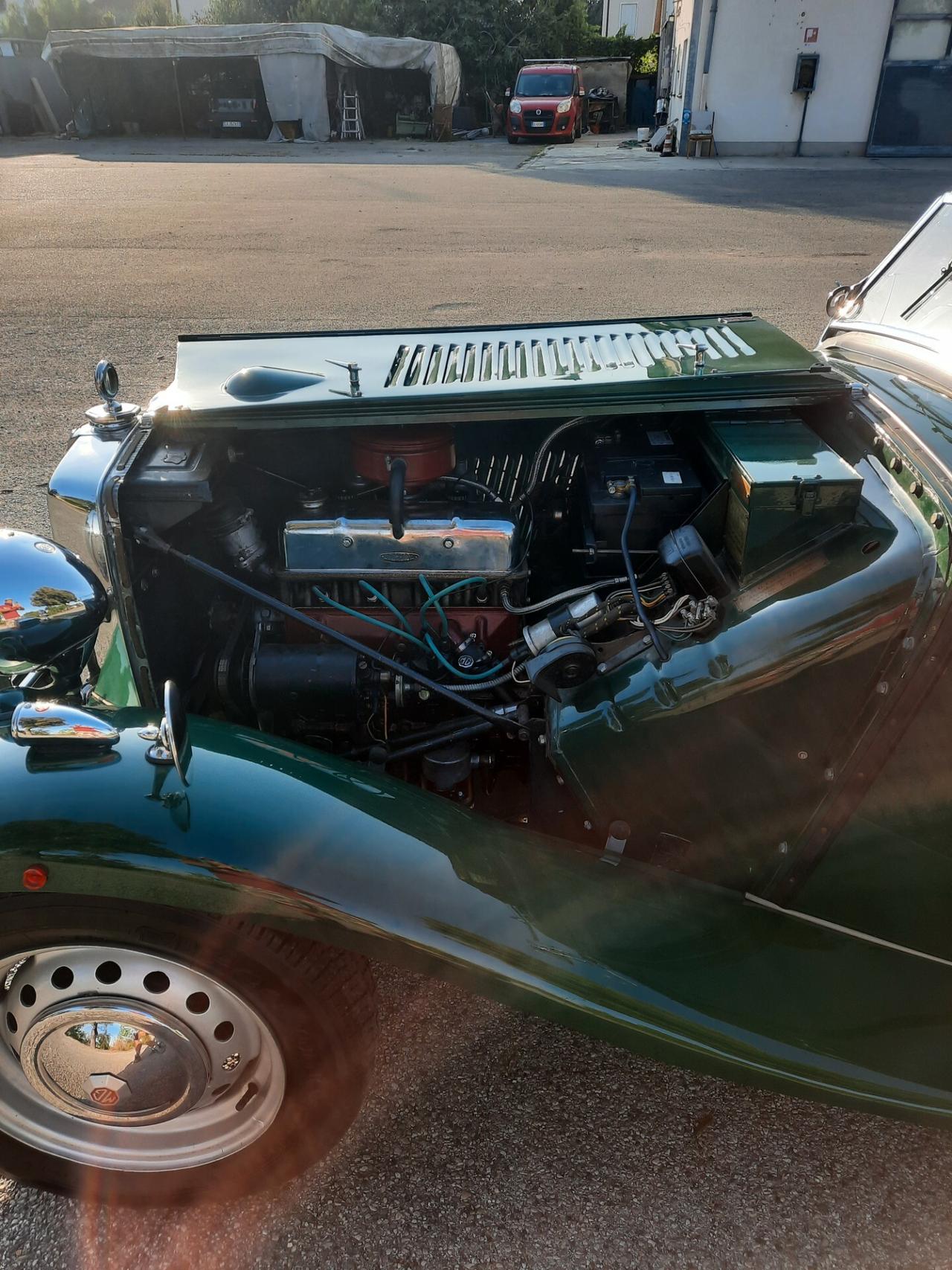 Mg TD