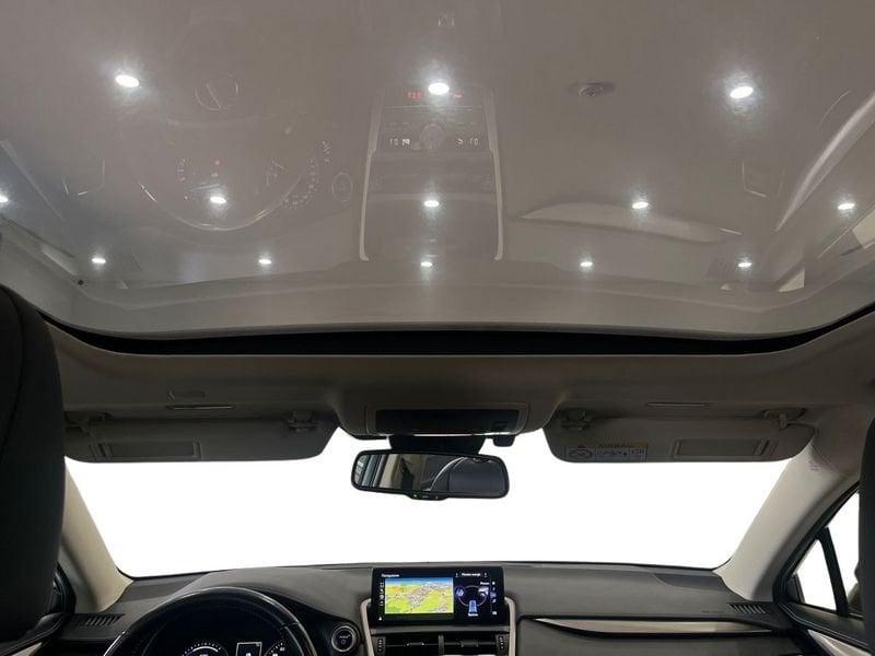Lexus NX NX 300h 2.5 Sport cvt