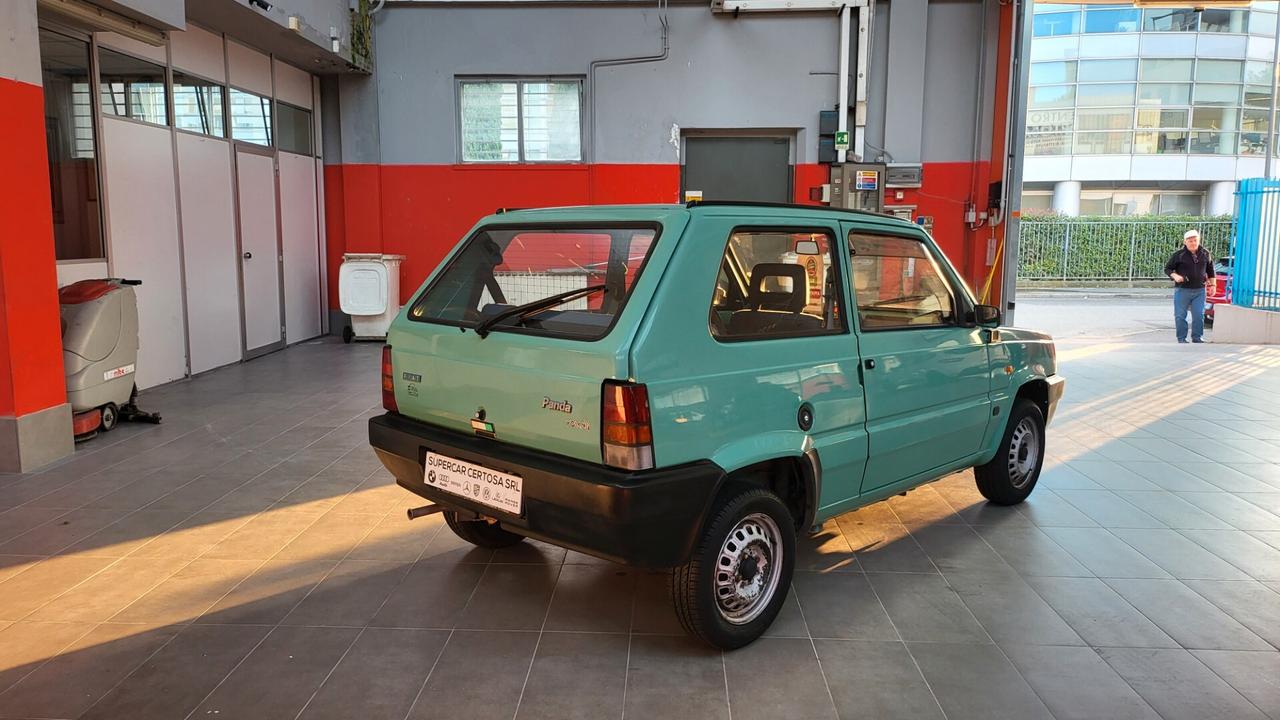 Fiat Panda 900 i.e. cat Young