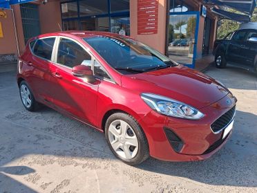 Ford Fiesta 1.5 EcoBlue 5 porte Business (684)