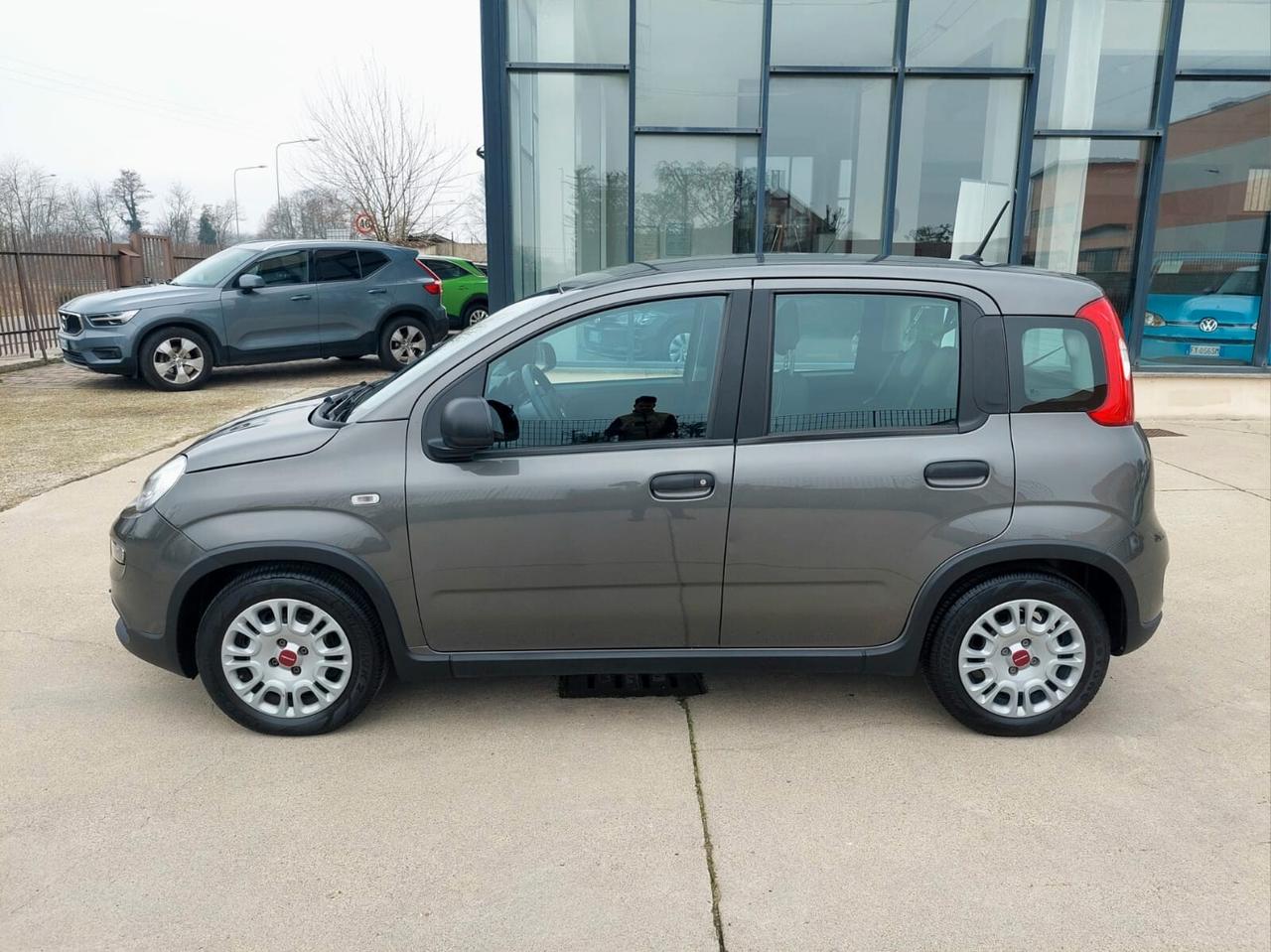 FIAT Panda 1.0 FireFly S&S Hybrid 5 posti - 2023