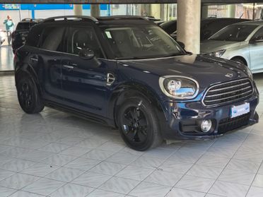 Mini Countryman FULL OPTIONAL