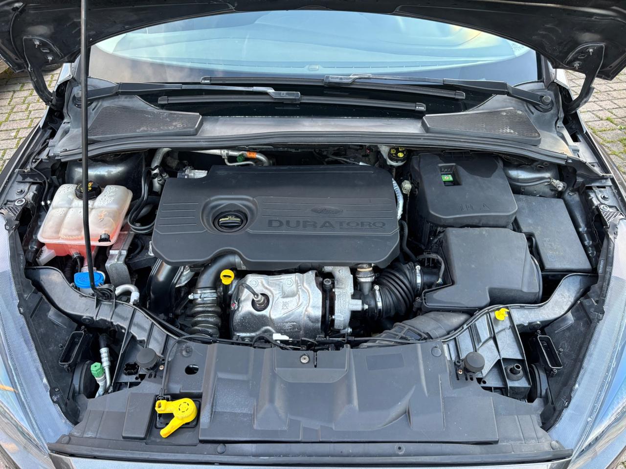 Ford Focus 1.5 TDCi 120 CV Start&Stop Powershift SW Titanium