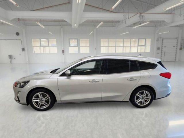FORD Focus 1.5 EcoBlue 120 CV automatico SW Business Co-Pilot