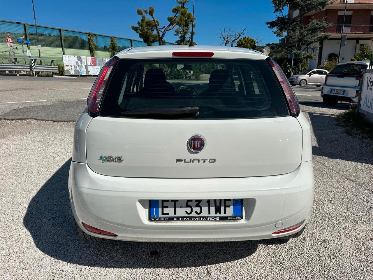 Fiat Punto 5 Porte Punto 5p 1.4 natural power Pop 70cv