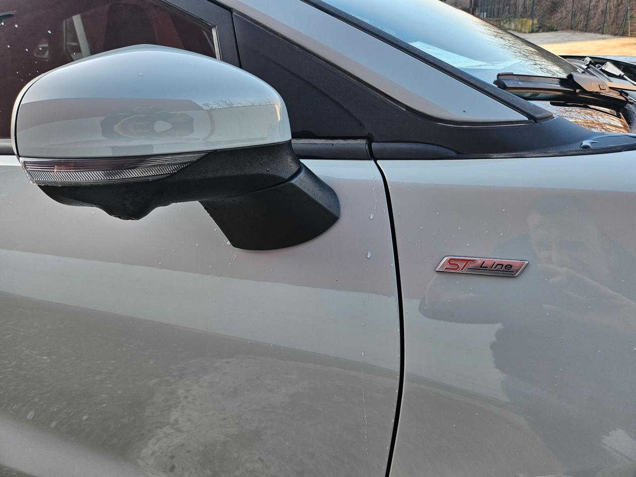 Ford Puma 1.0 EcoBoost Hybrid 125 CV S&S ST-Line