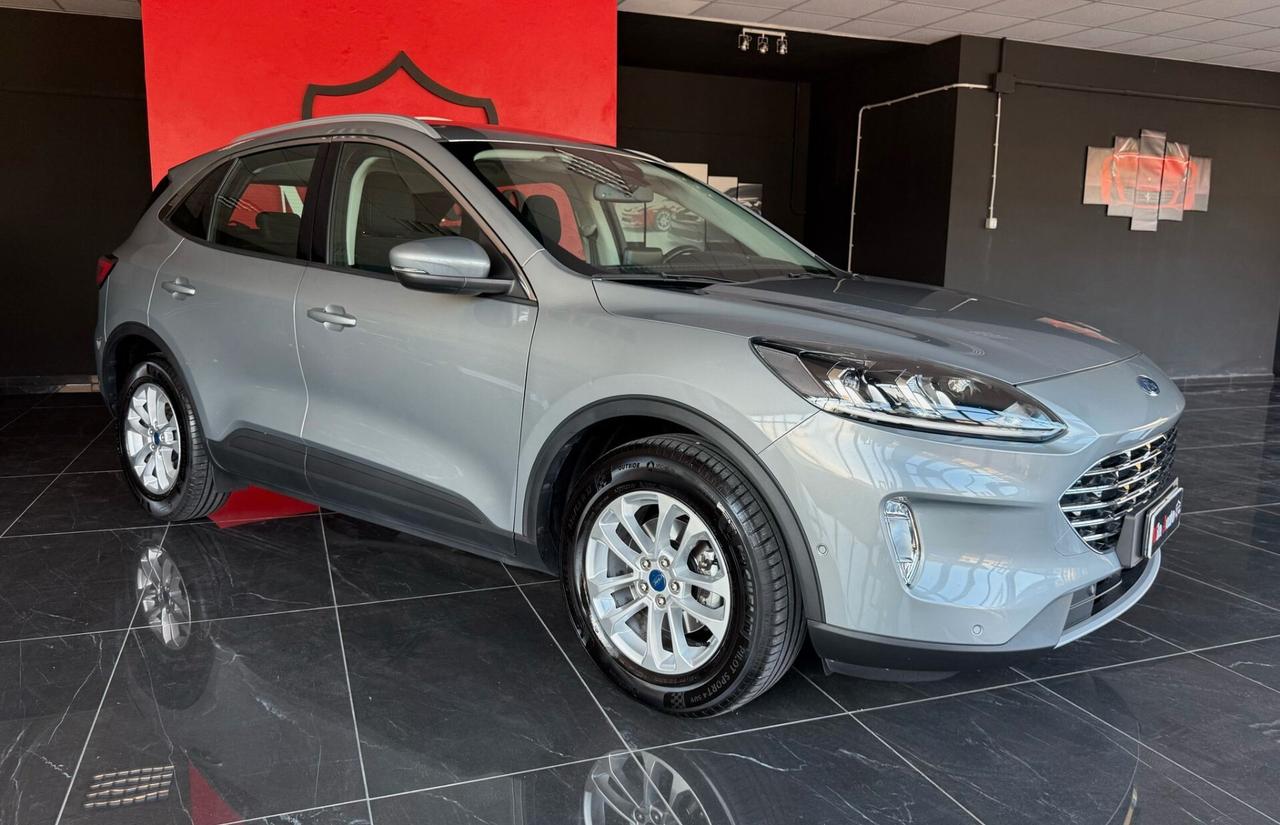 Ford Kuga 1.5 EcoBlue 120 CV aut. 2WD Titanium Business