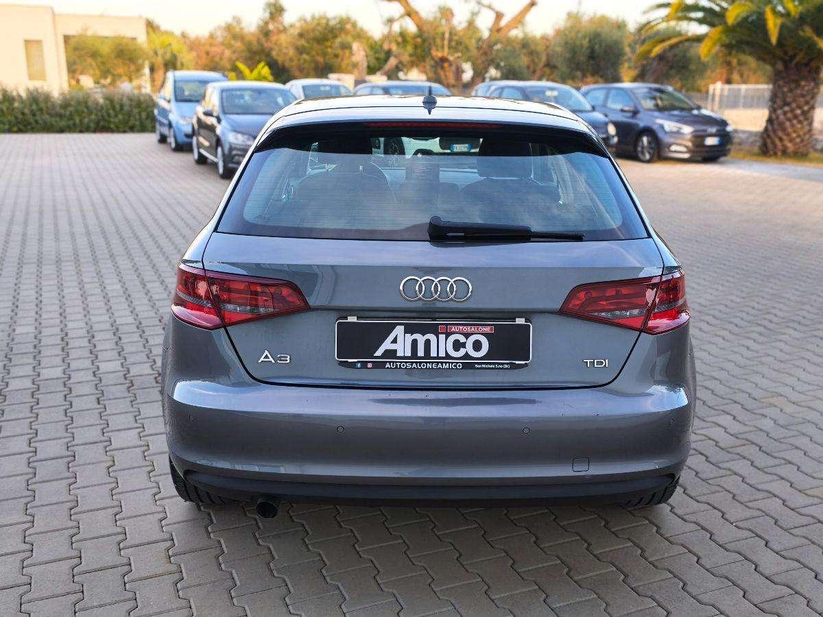 Audi A3 Sportback SPB 1.6 TDI Ambition Cinghia Eseguita