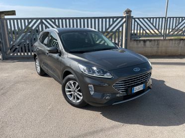 Ford Kuga 1.5 EcoBlue 120 CV 2WD Titanium