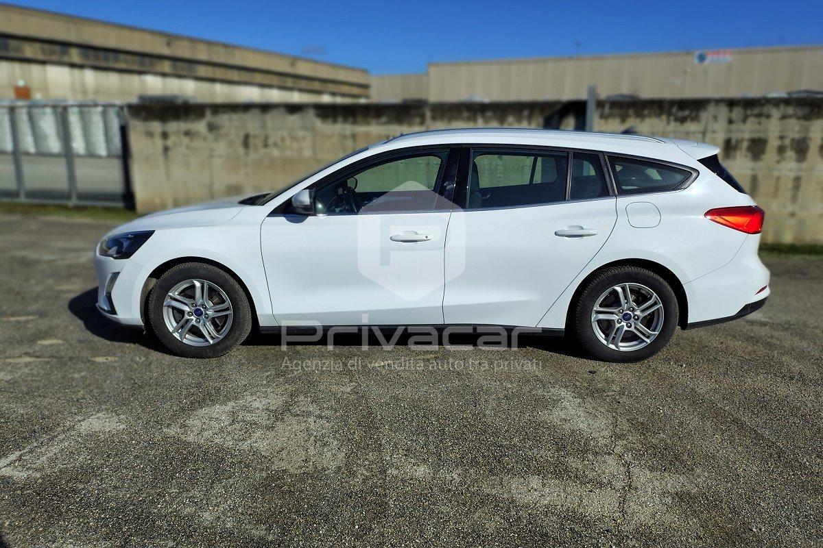 FORD Focus 1.5 EcoBlue 120 CV automatico SW Business