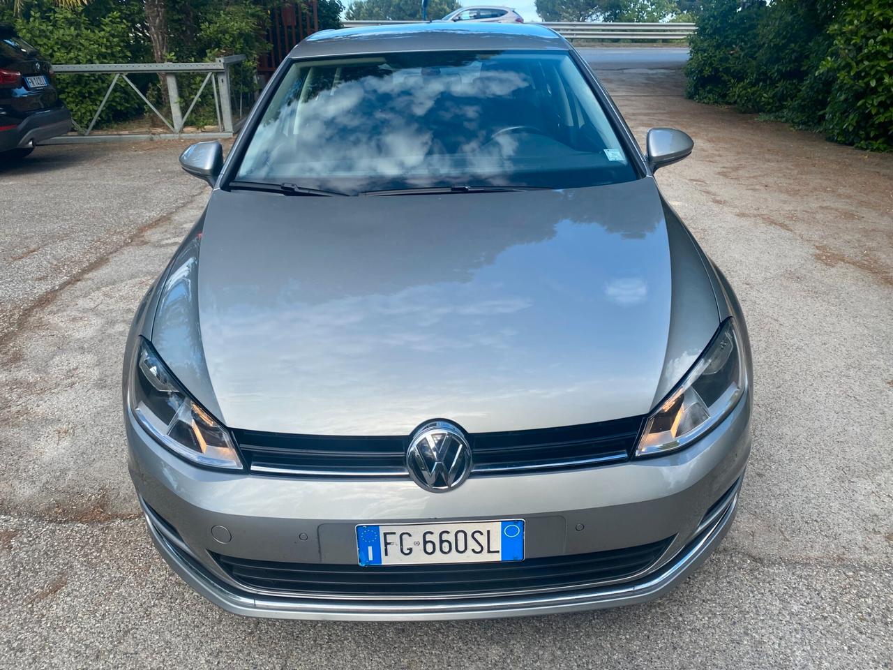 Volkswagen Golf 1.6 TDI 110 CV 5p. Business BlueMotion Technology