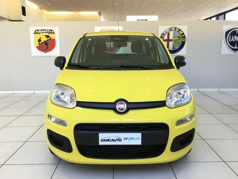 FIAT Panda Panda 1.0 FireFly S&S Hybrid Pop 65cv