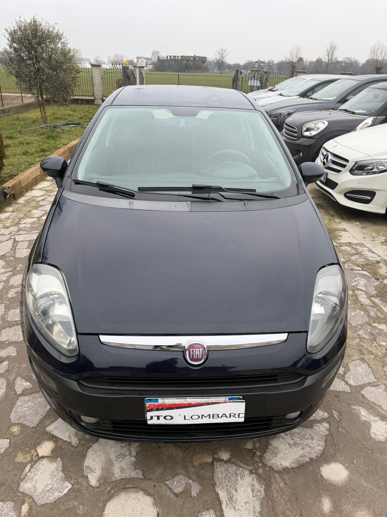 Fiat Punto Evo 1.3 Mjt 75 CV DPF 5 porte S&S Dynamic neopatentati