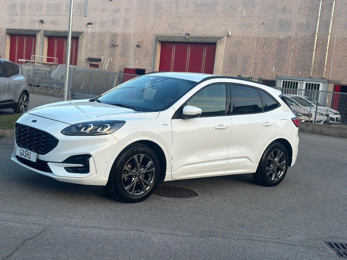 FORD - Kuga - 1.5 TDCI 120CV S&S 2WD ST-Line Bus.