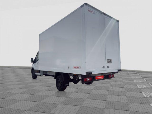 FORD Transit Transit 350 2.0TDCi HDT 165CV RWD PL-SL Cab.Trend