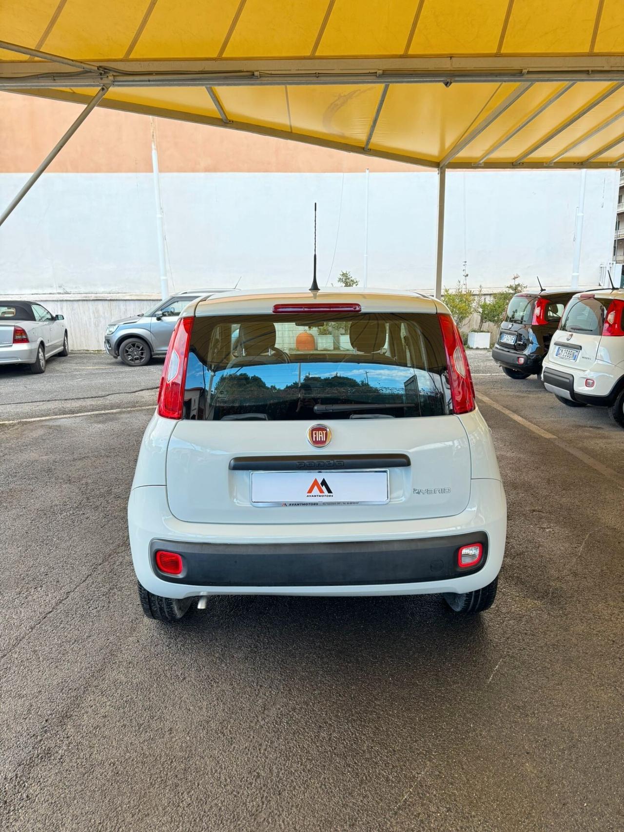 FIAT PANDA 1.0 FIREFLY S&S HYBRID **PREZZO REALE**