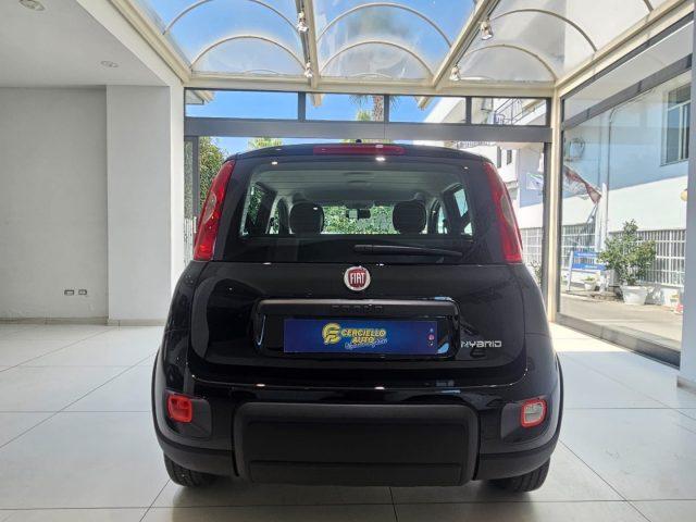 FIAT Panda 1.0 FireFly S&S Hybrid tua da ?139,00 mensili