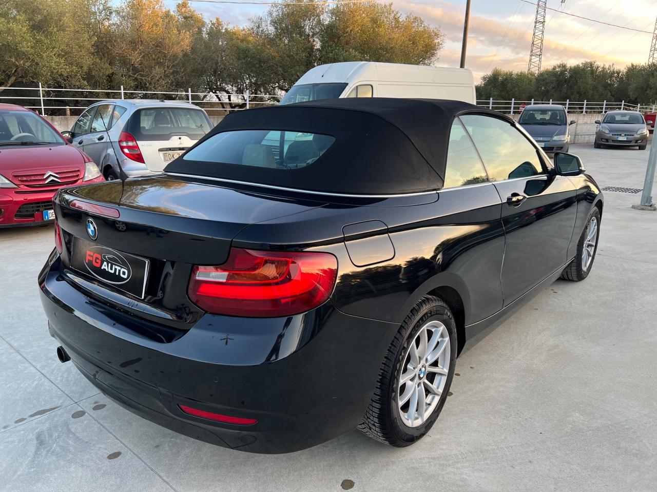 Bmw 218 218i Cabrio Advantage
