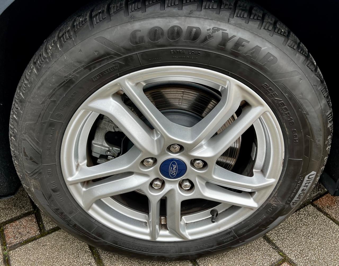 Ford Focus 1.5 EcoBlue 120 CV automatico SW Business Co-Pilot