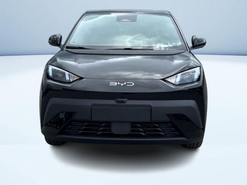 BYD Dolphin Surf Boost
