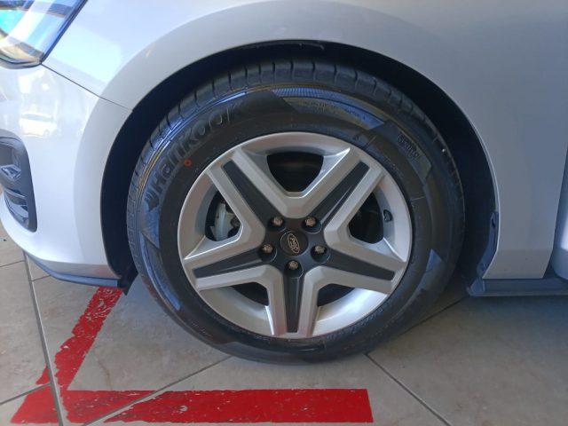 FORD Focus 1.5 EcoBlue 120 CV SW Business