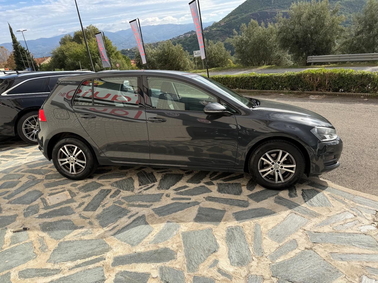 Volkswagen Golf 1.6 TDI 90 CV 5p.