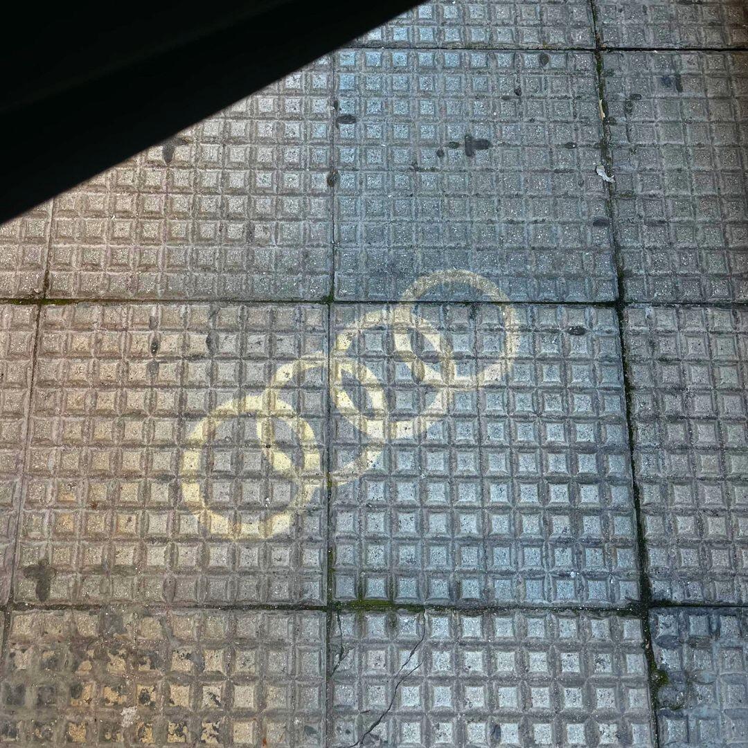 Audi Q5 2.0 TDI 190 CV Quattro S-Tronic S-Line Plus