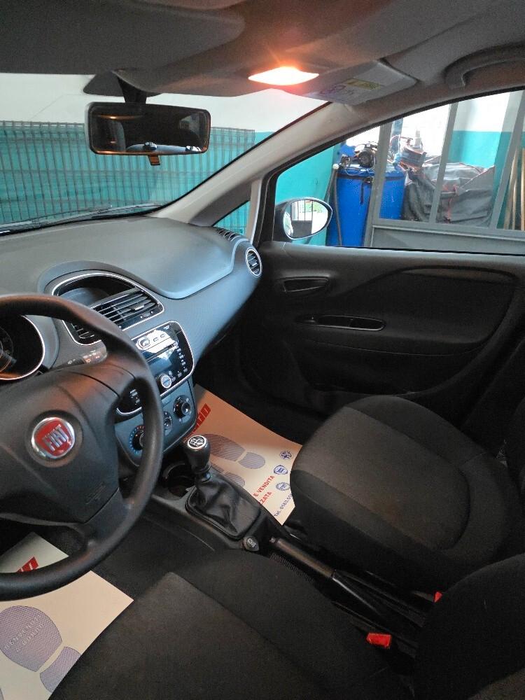 Fiat Punto 1.2 8V 5 porte Street