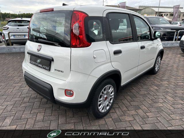 FIAT Panda 1.0 70 CV FireFly S&S Hybrid