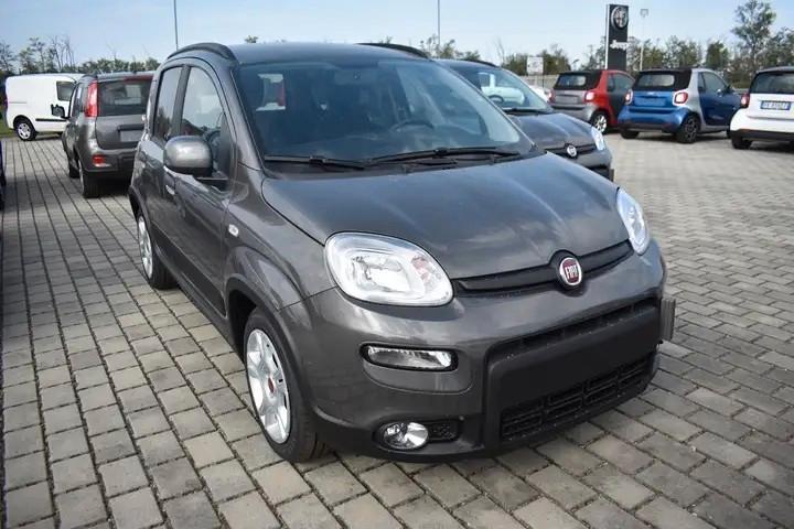 Fiat Panda 1.0 HYBRID 70CV / PANDA 1.0 HYBRID PANDINA / PANDA 0.9 T.A. 85CV 4X40°