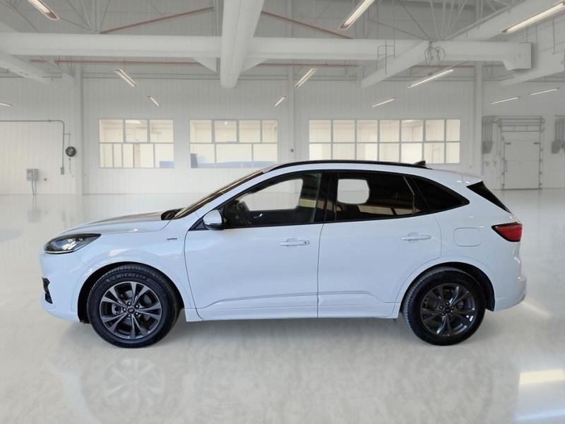 FORD KUGA 2.5 Benzina FHEV 190CV 2WD ST-Line X Aut