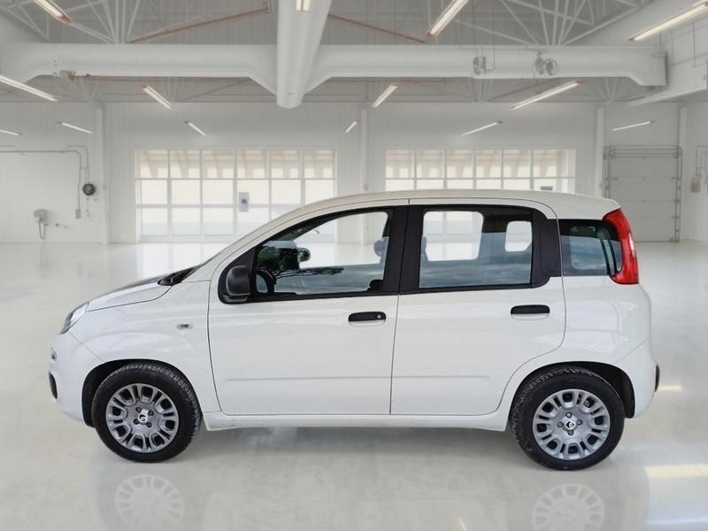 FIAT PANDA 1.0 FIREFLY 70 CV SES HYBRID 5 PORTE BERLINA