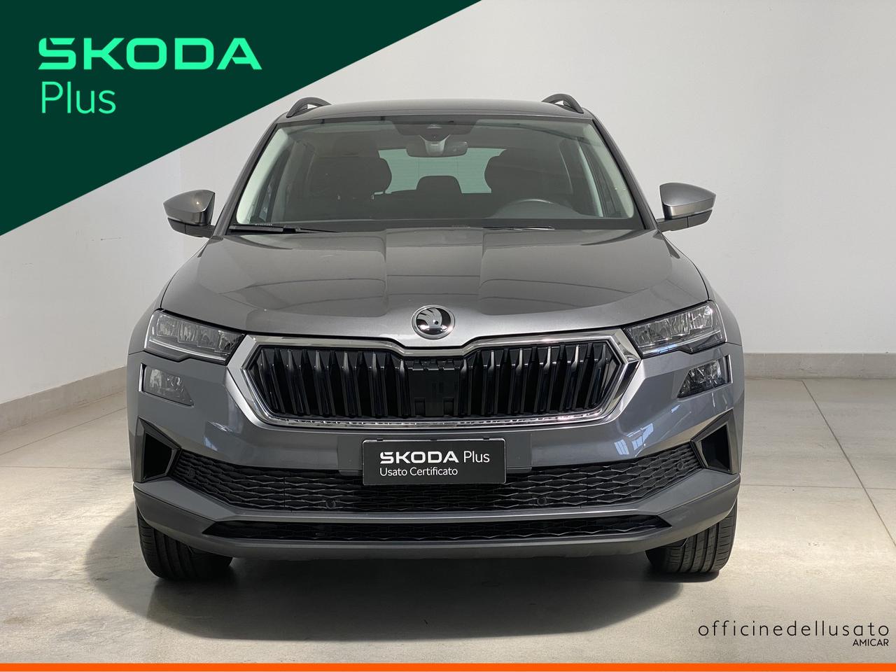 Skoda Karoq 2.0 tdi evo scr 115cv executive