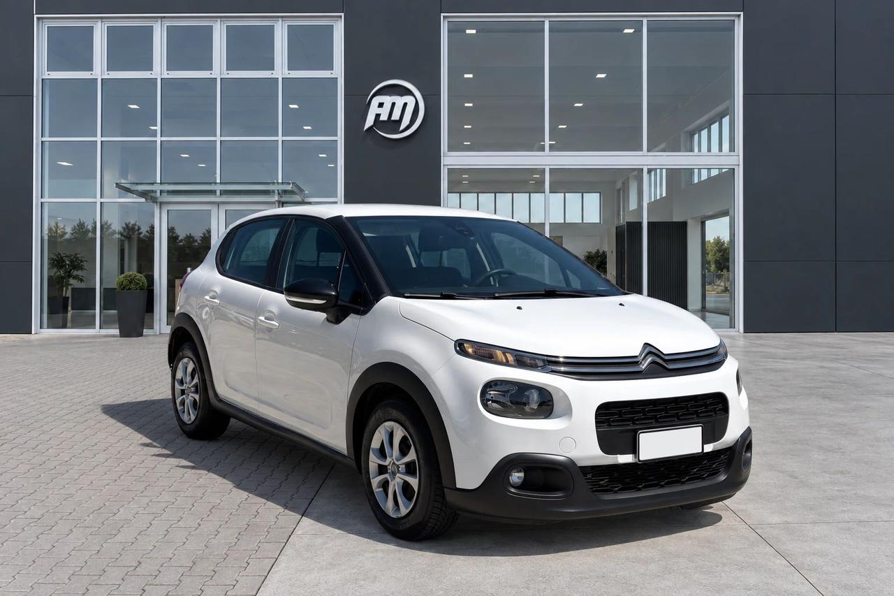 Citroen C3 1.5 100cv van 2 posti