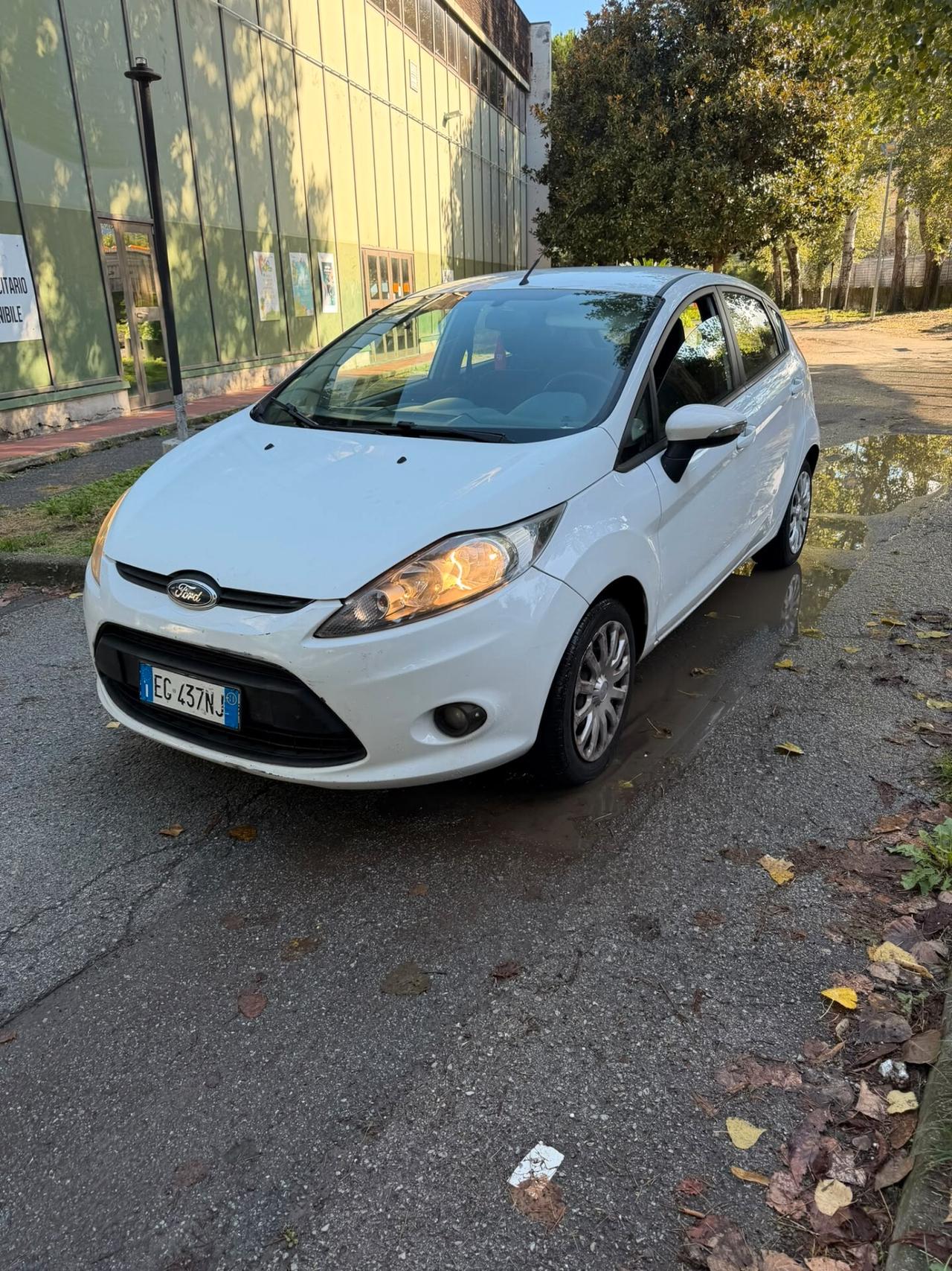 Ford Fiesta 1.2 82 CV 5 porte Titanium